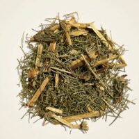 herbe prêle