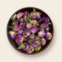 Rose Mohammadi à Infuser